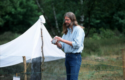 Sorg neben einer Malaisefalle in der Lippeaue © NRW-Stiftung/T. Höller