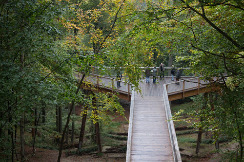 Baumwipfelpfad © Erlebnis AKADEMIE AG
