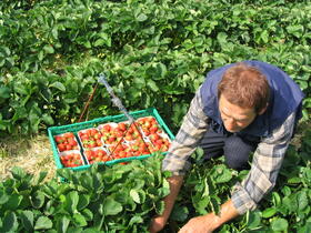 IFCO SYSTEMS_Produzent