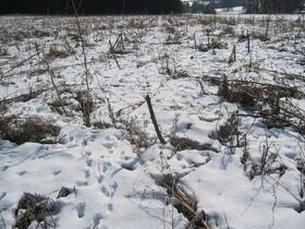 Rückzugsräume im Winter