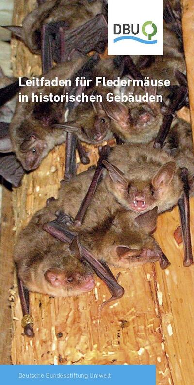 Leitfaden für Fledermäuse in historischen Gebäuden