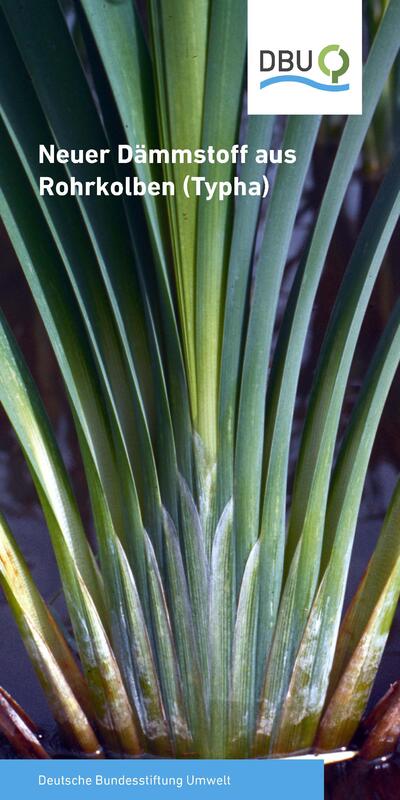 Neuer Dämmstoff aus Rohrkolben (Typha)