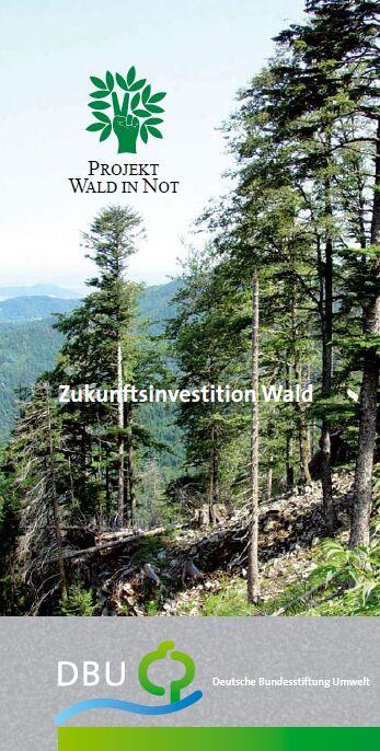 Projekt Wald in Not - Zukunftsinvestition Wald