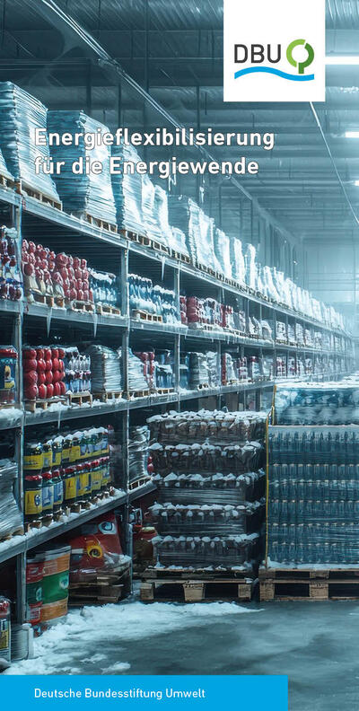 Energieflexibilisierung für die Energiewende
