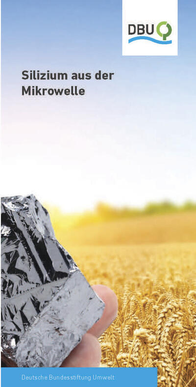 Silizium aus der Mikrowelle