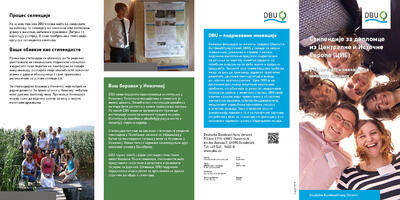 Стипендије за дипломце из Централне и Источне Европе (ЦИЕ)