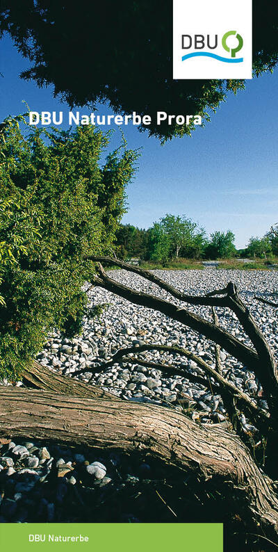 DBU Naturerbe Prora
