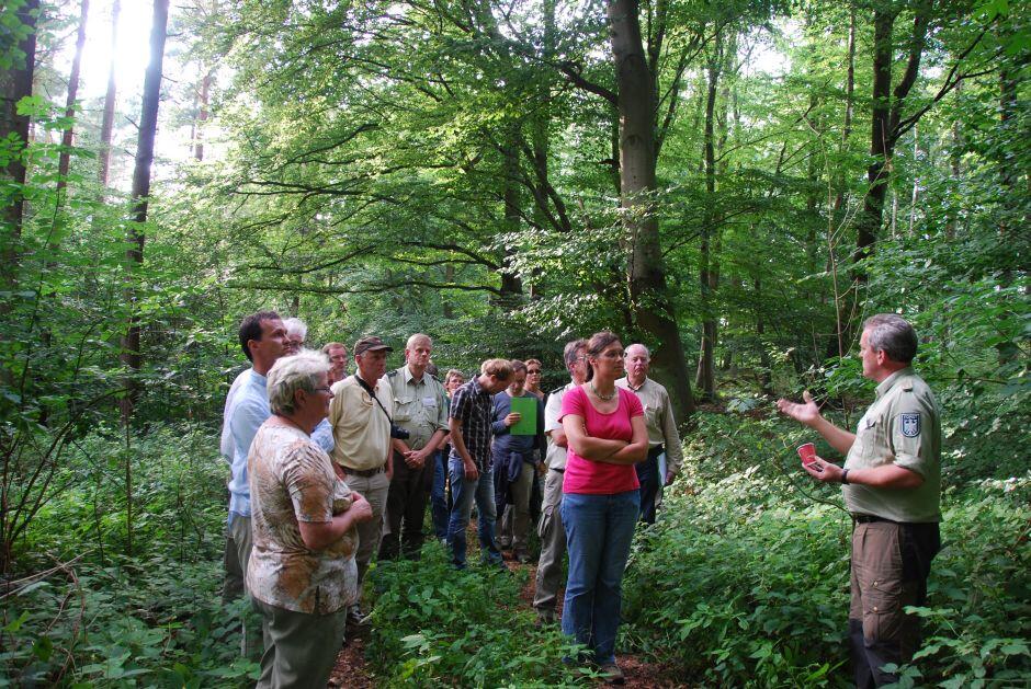 Waldexkursion auf der Naturerbefläche Prora (Mecklenburg-Vorpommern)  