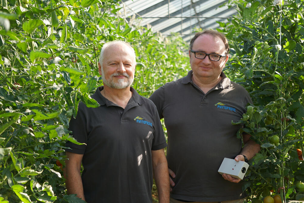 Dr. Thomas Berberich (l.) und Daniel Weber von Phytoprove entwickeln neue Geräte, die den Versorgungszustand von beispielsweise Tomatenpflanzen messen, anzeigen und in eine Cloud übertragen. So kann jeder seine Pflanzen rechtzeitig und nach © Phytoprove Pflanzenanalytik UG