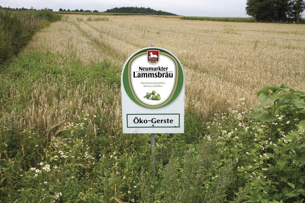 Neumarkter Lammsbräu Öko-Gerste 