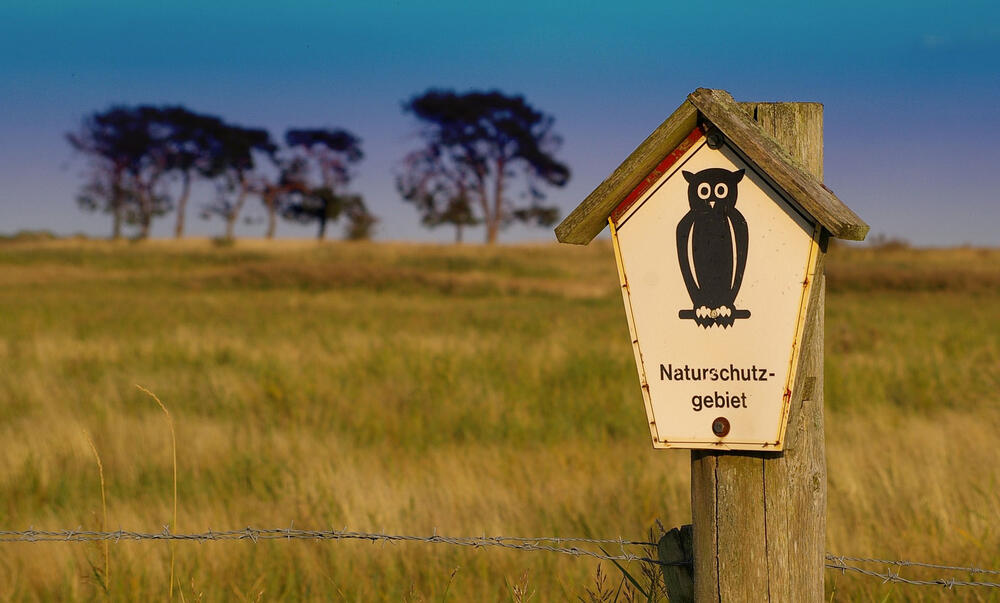 Die Umwelt wird in Schutzgebieten in ähnlichem Maß durch Pestizide beeinflusst wie in nicht geschützten Gebieten. © Kerstin Riemer auf Pixabay