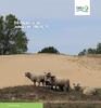 DBU Naturerbe Jahresbericht 2019