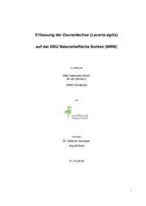 Erfassung der Zauneidechse (Lacerta agilis) auf der DBU Naturerbefläche Borken (NRW)